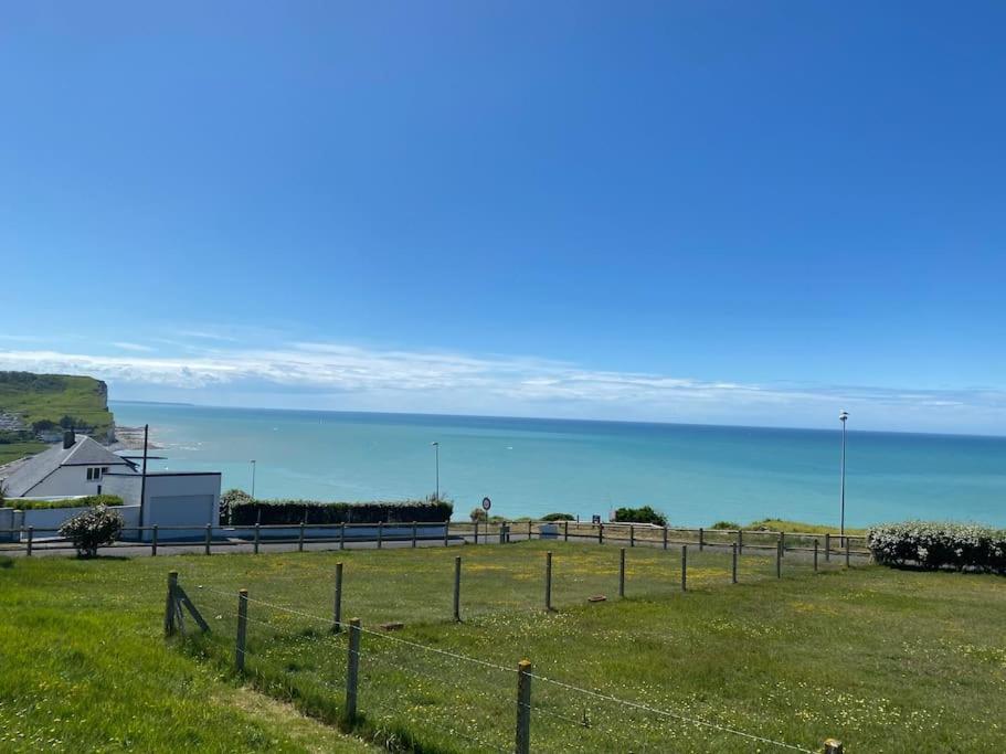 Grande Maison Chaleureuse Avec Vue Mer Imprenable Criel-sur-Mer Exterior photo